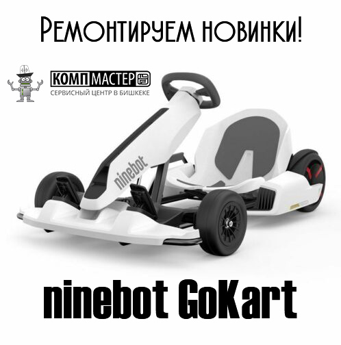 ninebot GoKart